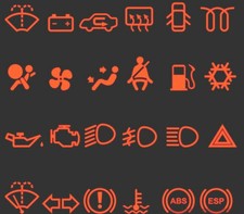 Diagnose Software PKW & LKW